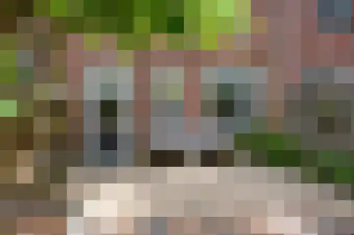 Jaltadaheerd 76 Groningen thumbnail 34