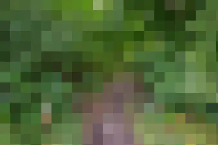 Jaltadaheerd 76 Groningen thumbnail 39