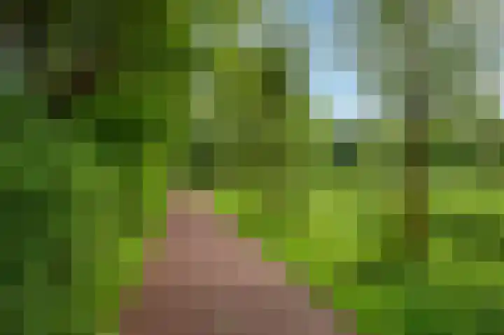 Jaltadaheerd 76 Groningen thumbnail 40