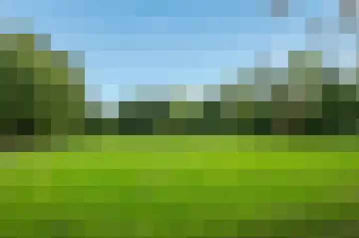 Jaltadaheerd 76 Groningen thumbnail 41