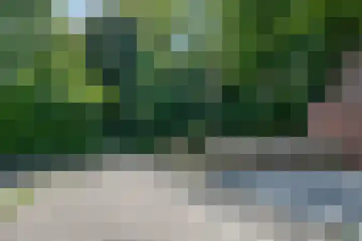 Jaltadaheerd 76 Groningen thumbnail 5