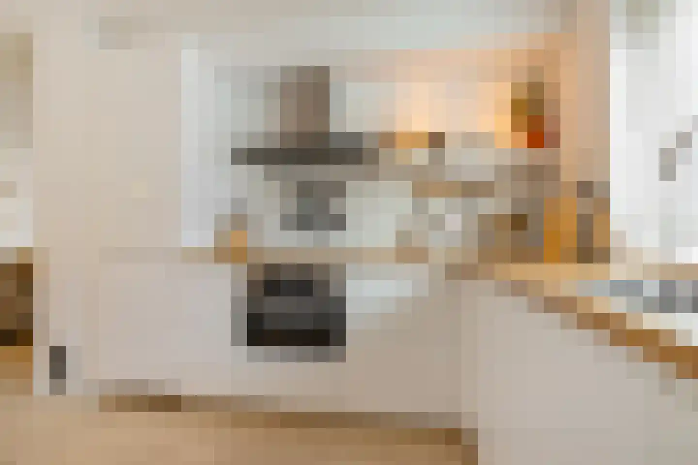 Jaltadaheerd 99 b Groningen thumbnail 17