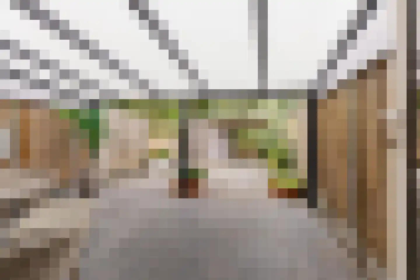 Jaltadaheerd 99 b Groningen thumbnail 18