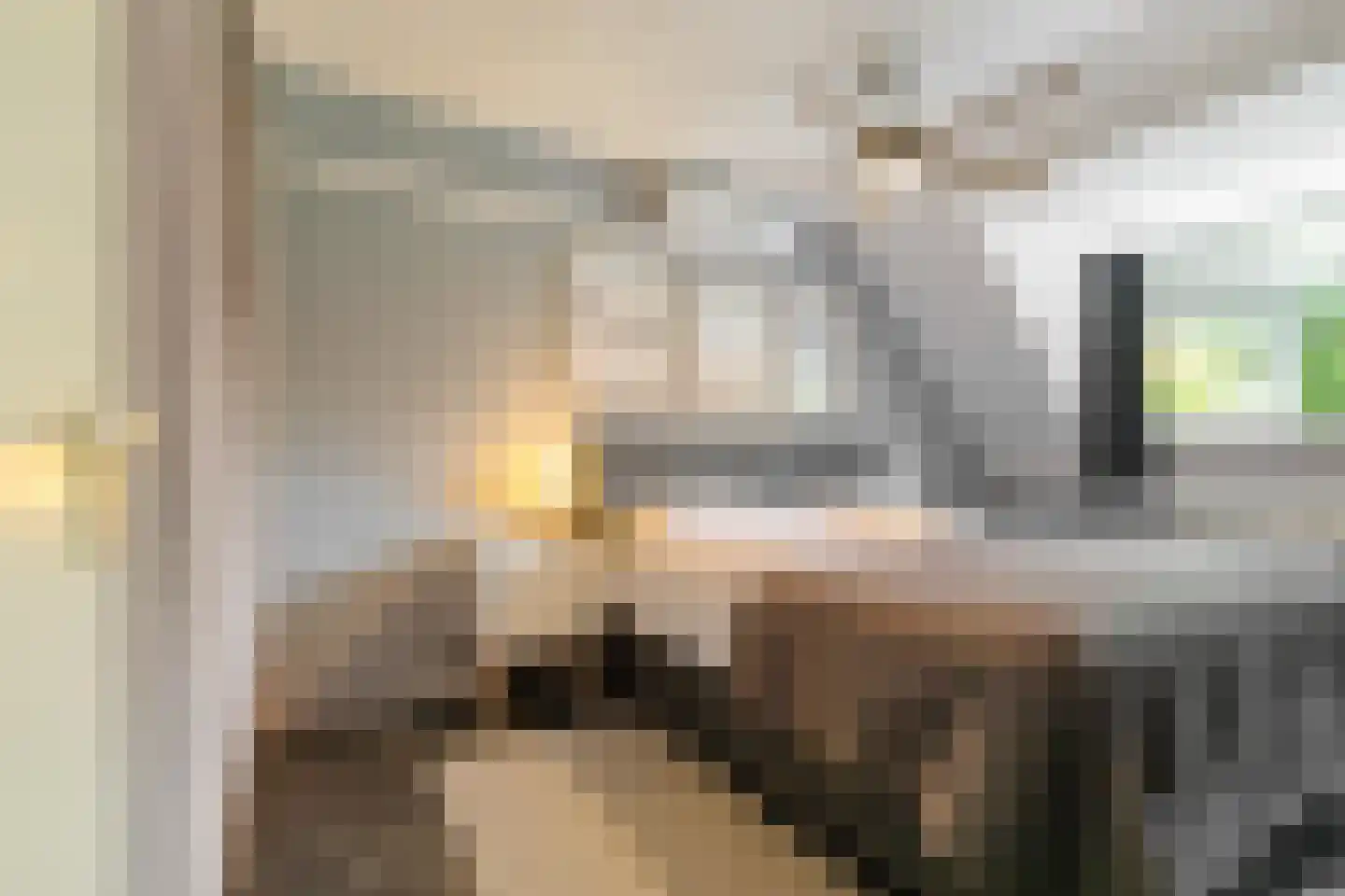 Jaltadaheerd 99 b Groningen thumbnail 25