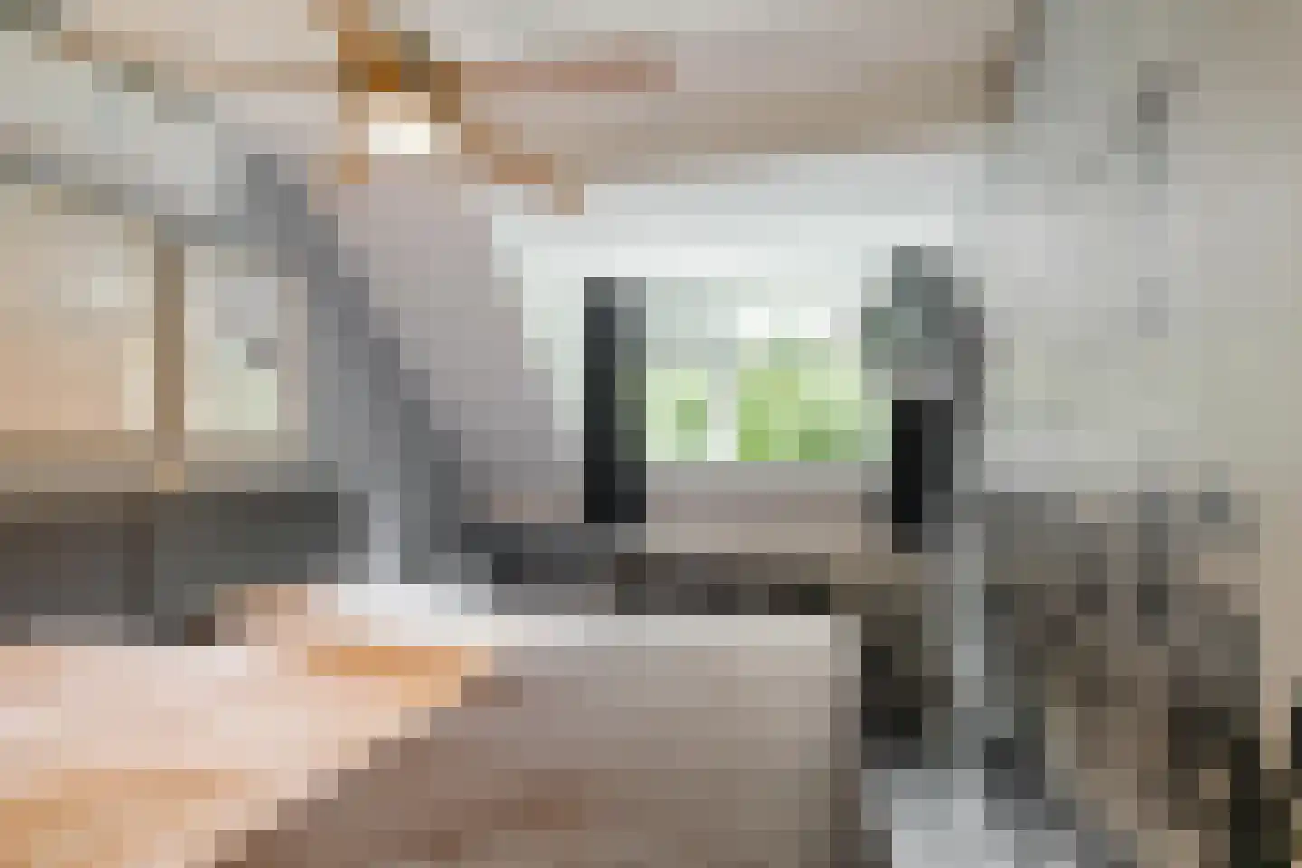 Jaltadaheerd 99 b Groningen thumbnail 26