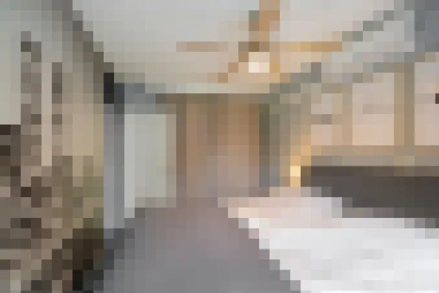 Jaltadaheerd 99 b Groningen thumbnail 27