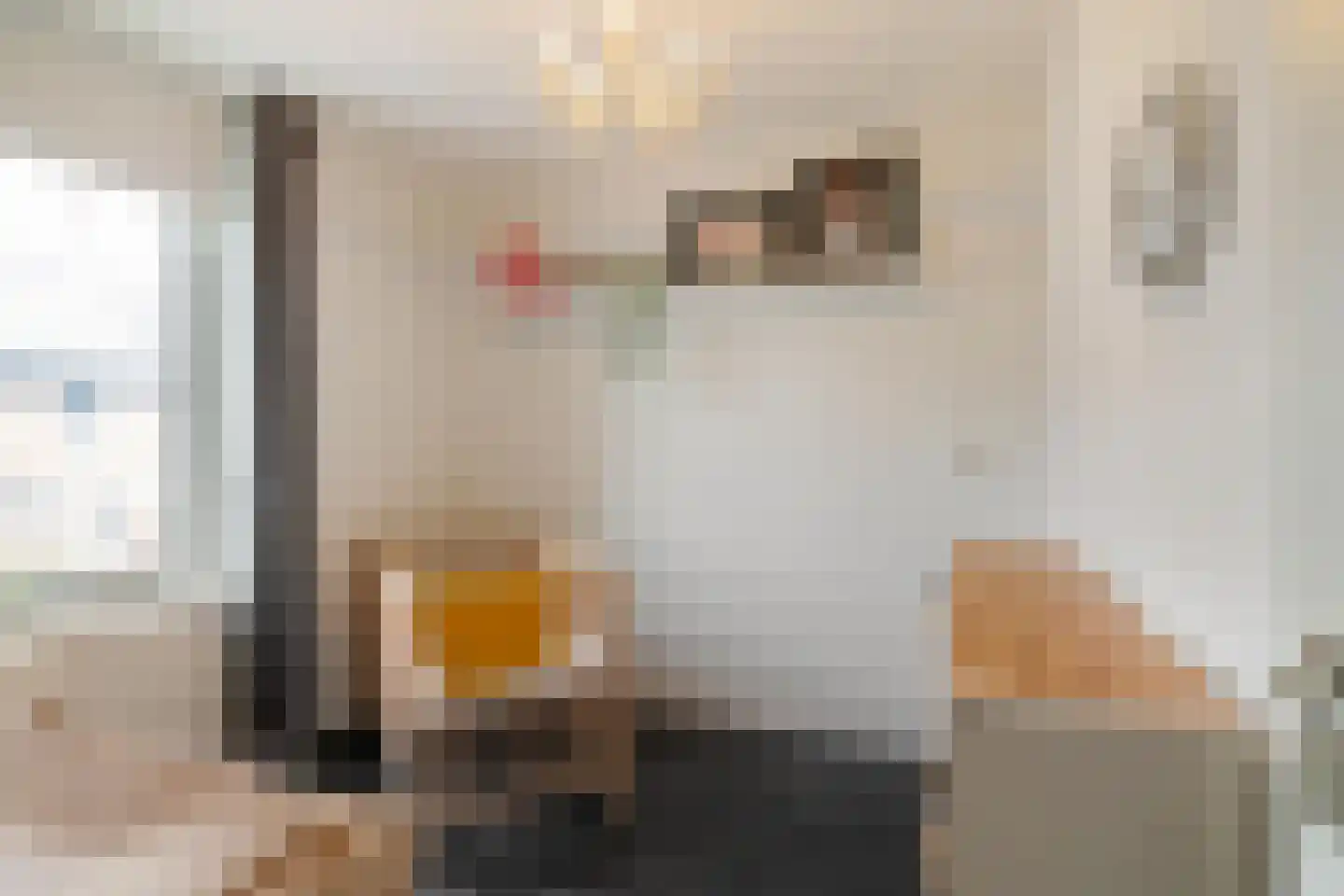 Jaltadaheerd 99 b Groningen thumbnail 28