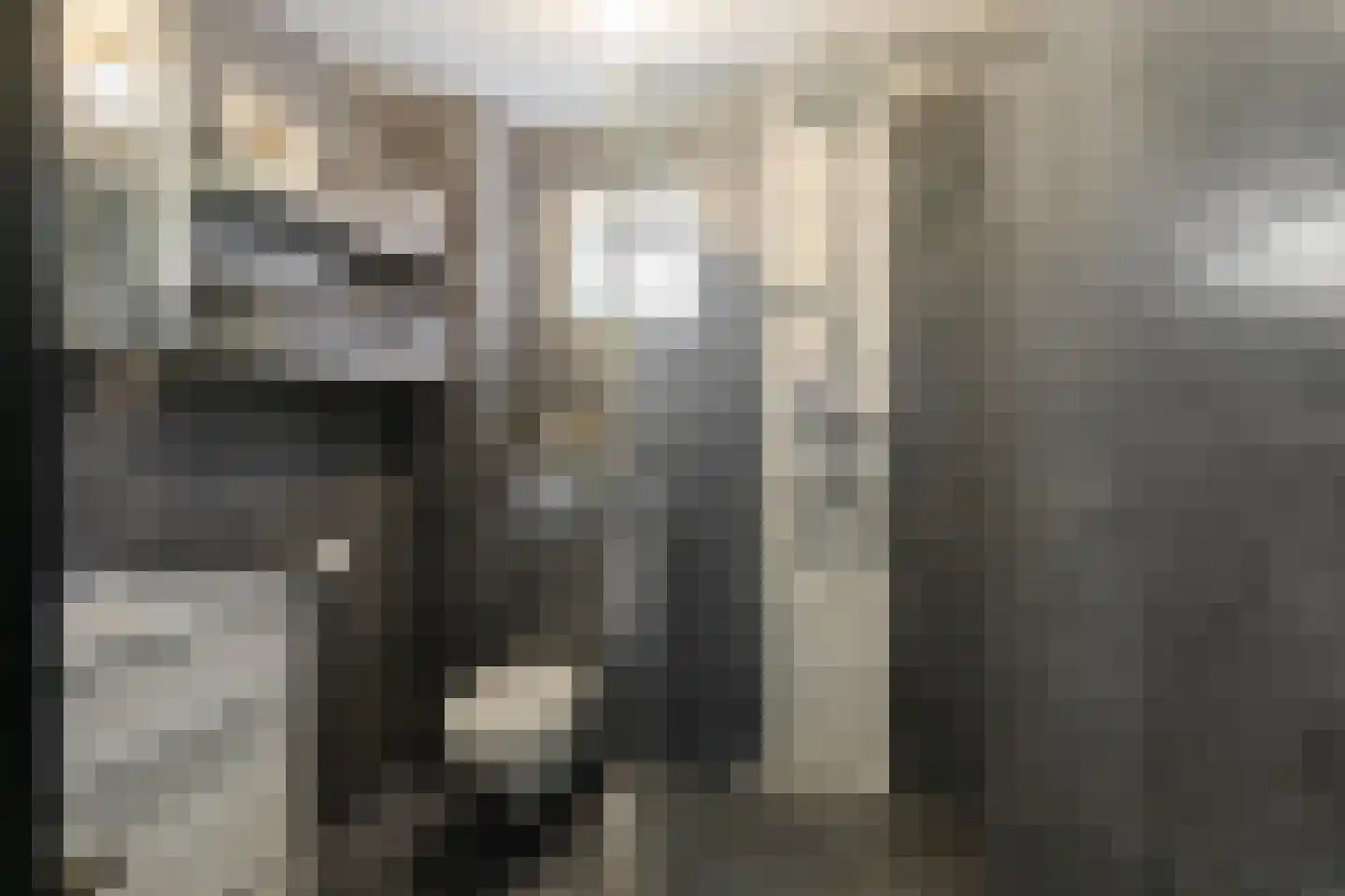Jaltadaheerd 99 b Groningen thumbnail 32