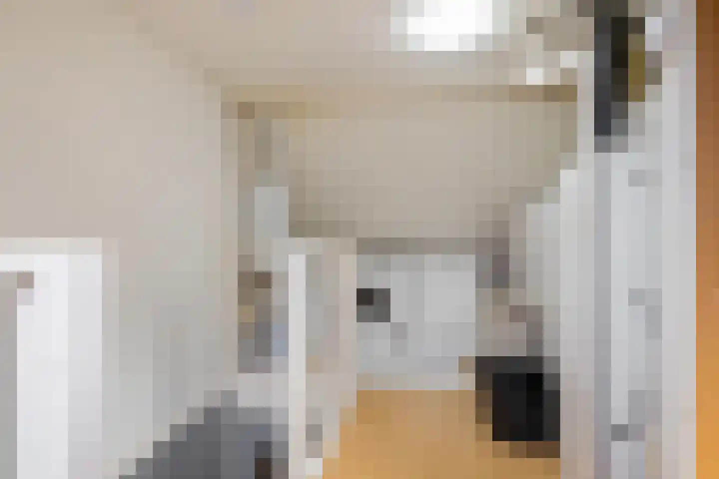 Jaltadaheerd 99 b Groningen thumbnail 34