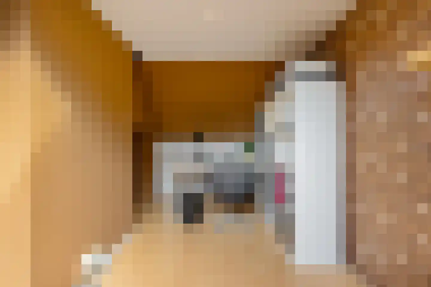 Jaltadaheerd 99 b Groningen thumbnail 35