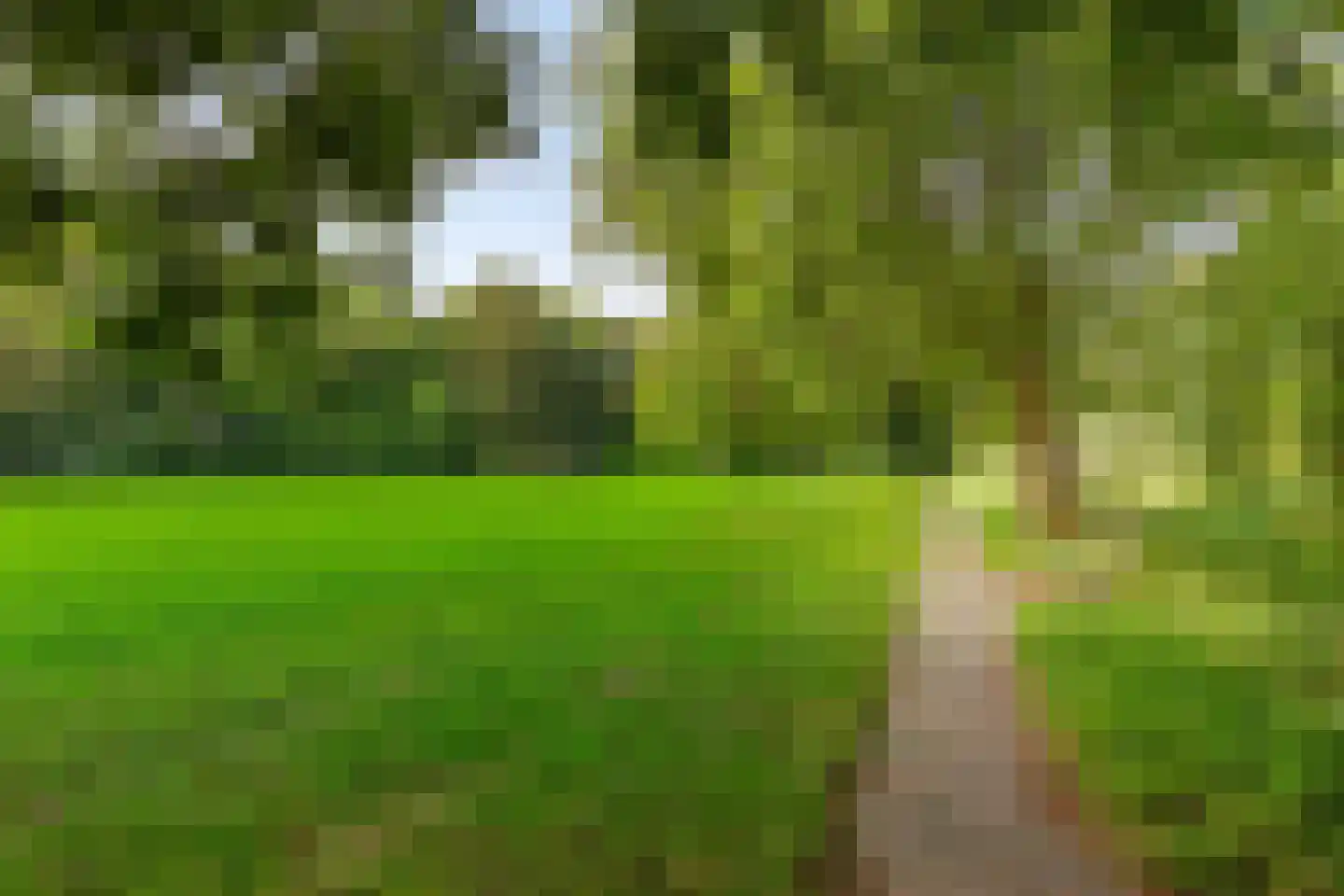 Jaltadaheerd 99 b Groningen thumbnail 39