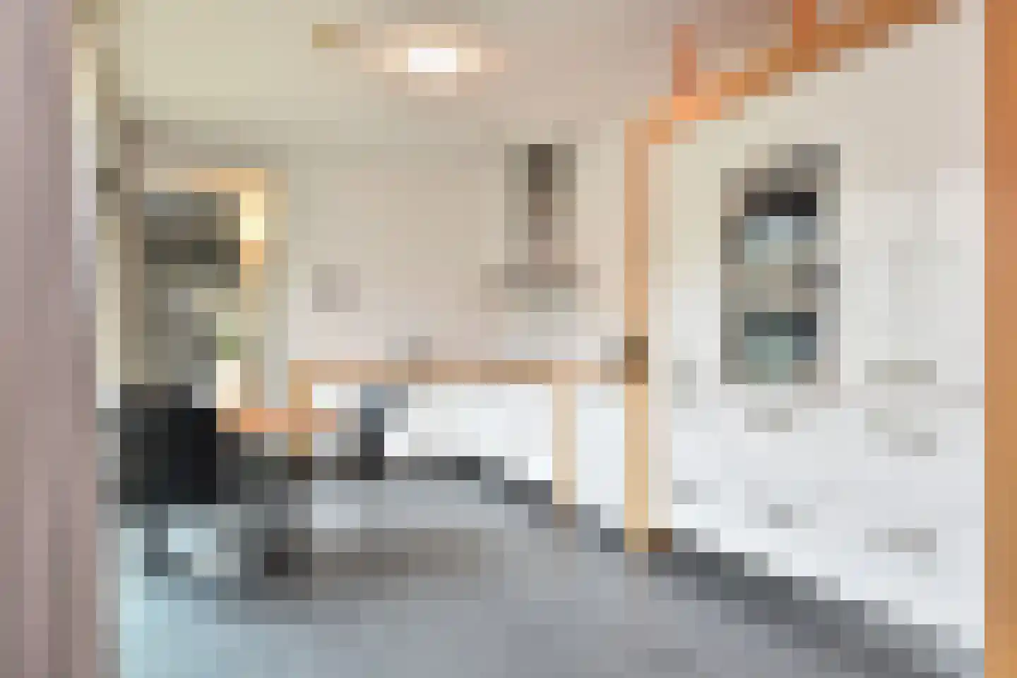 Jamaica 7 Zoetermeer thumbnail 17