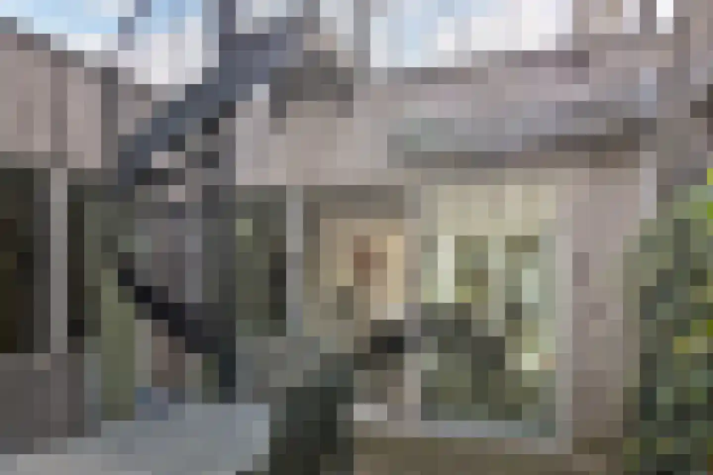 Jamaica 7 Zoetermeer thumbnail 31