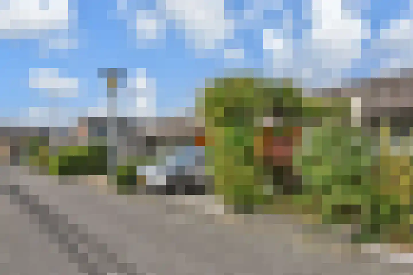 Jamaica 7 Zoetermeer thumbnail 4