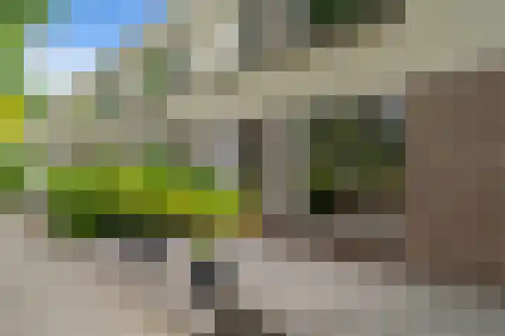 Jamaicadreef 43 Utrecht thumbnail 38
