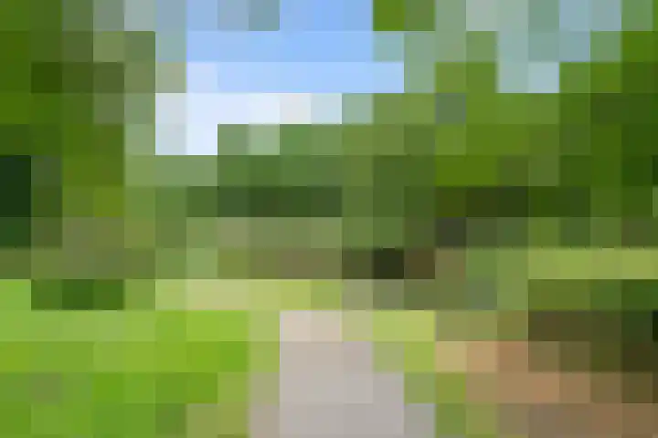 Jamaicadreef 43 Utrecht thumbnail 42