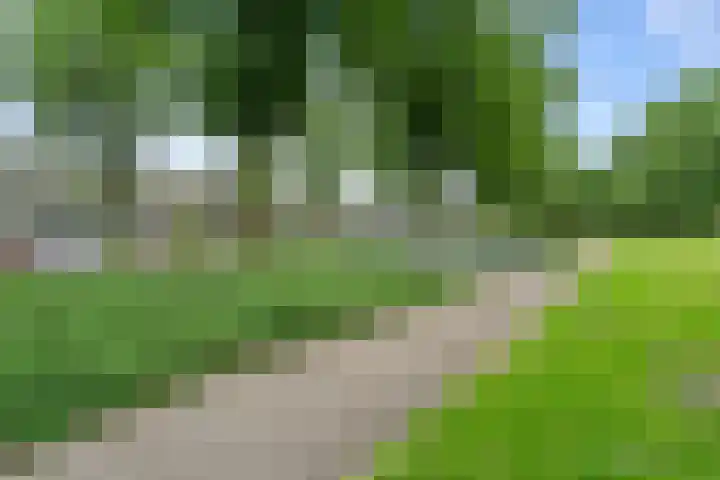 Jamaicadreef 43 Utrecht thumbnail 43