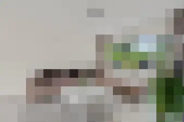 Jamaicadreef 43 Utrecht thumbnail 7