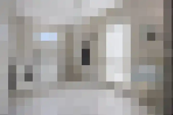Jamaïcaring 15 Drunen thumbnail 14