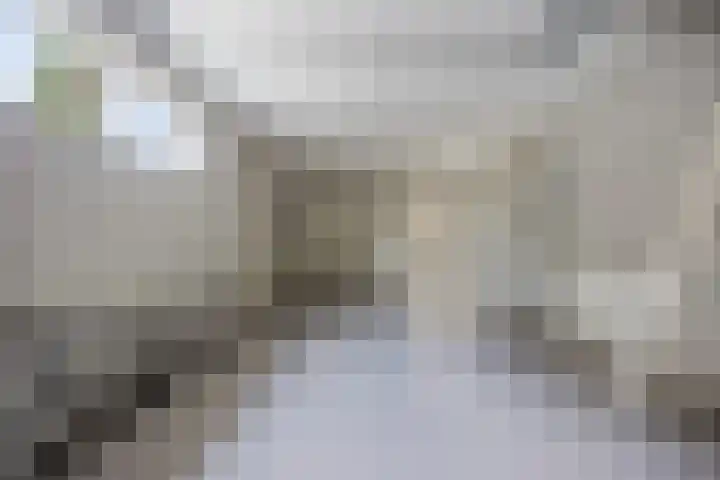 Jamaïcaring 15 Drunen thumbnail 17
