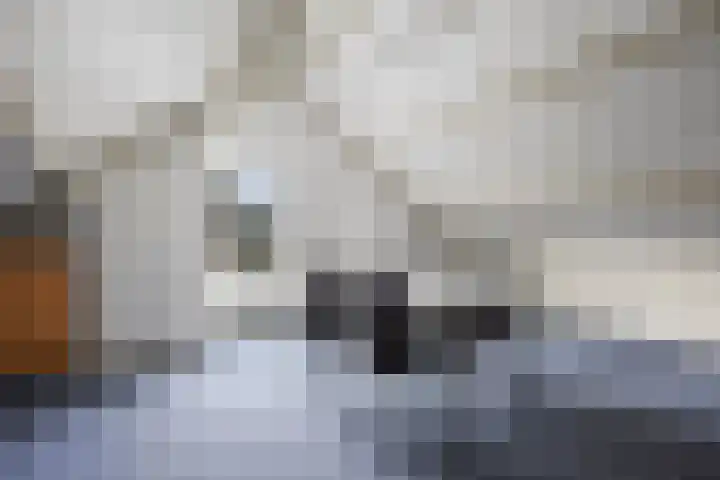 Jamaïcaring 15 Drunen thumbnail 35