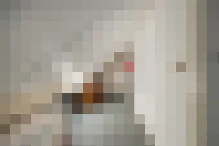Jamaïcaring 15 Drunen thumbnail 37