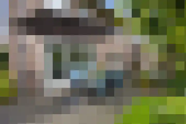 Jamaïcaring 15 Drunen thumbnail 39