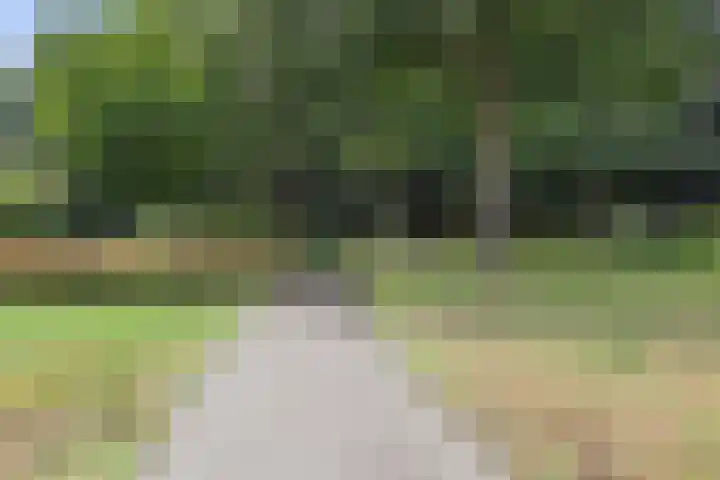 Jamaïcaring 15 Drunen thumbnail 44