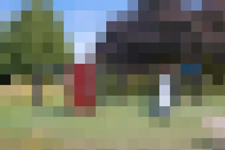Jamaïcaring 15 Drunen thumbnail 47
