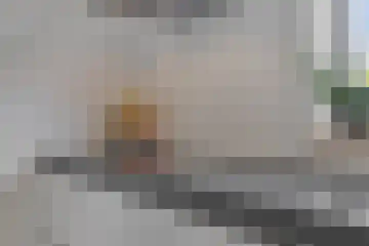 Jamaïcaring 16 Drunen thumbnail 16