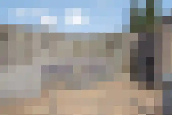 Jamaïcaring 16 Drunen thumbnail 36
