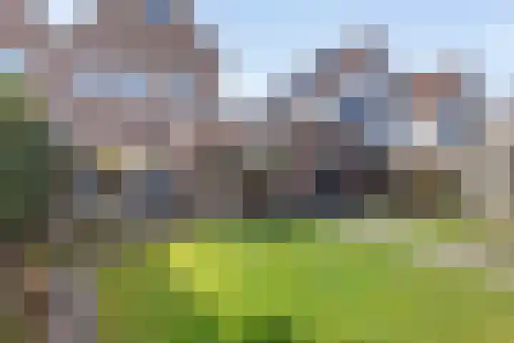 Jamaïcaring 16 Drunen thumbnail 38
