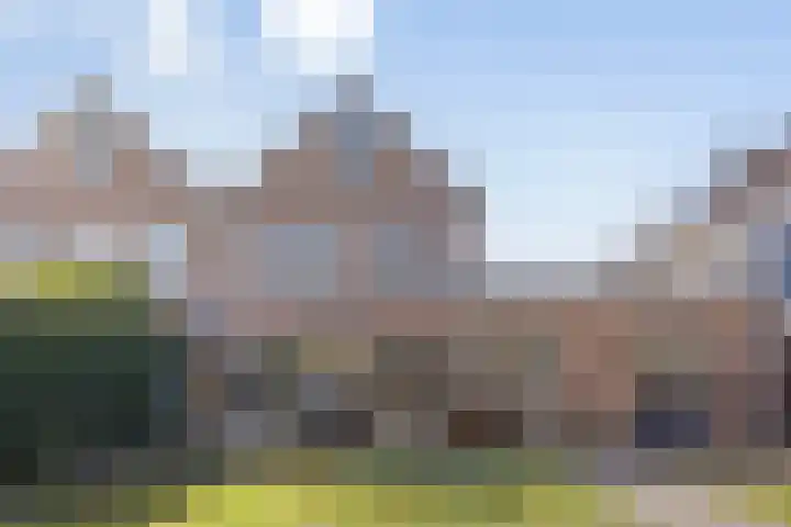 Jamaïcaring 16 Drunen thumbnail 39