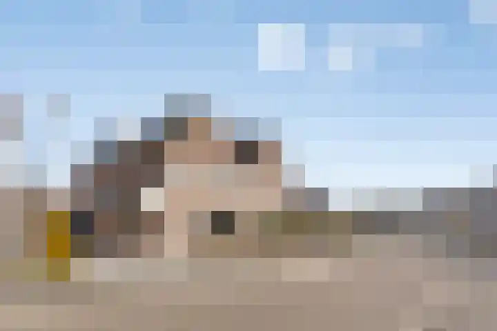 Jamaïcaring 16 Drunen thumbnail 43