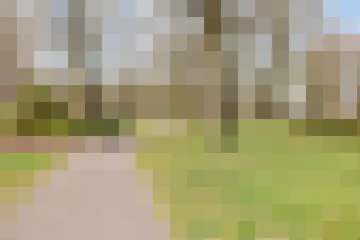Jamaïcaring 16 Drunen thumbnail 44