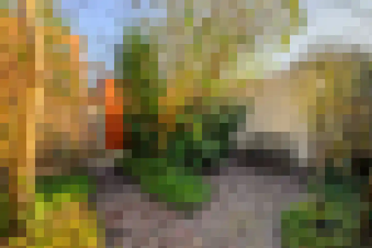 Jamaicastraat 25 Almere thumbnail 49