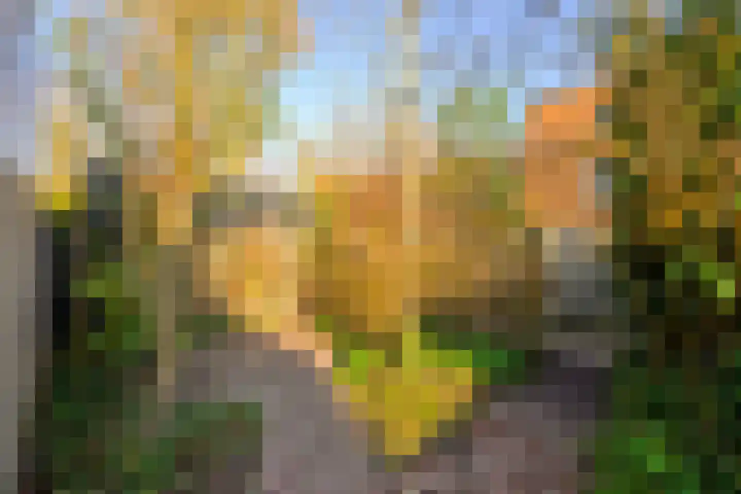 Jamaicastraat 25 Almere thumbnail 50