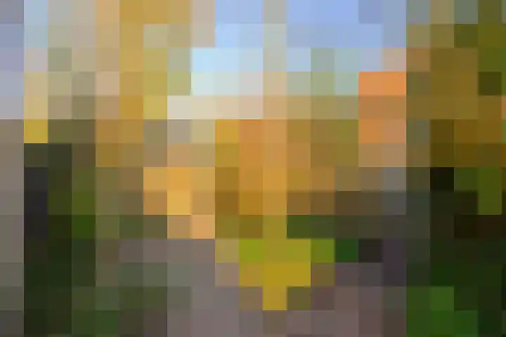 Jamaicastraat 25 Almere thumbnail 50