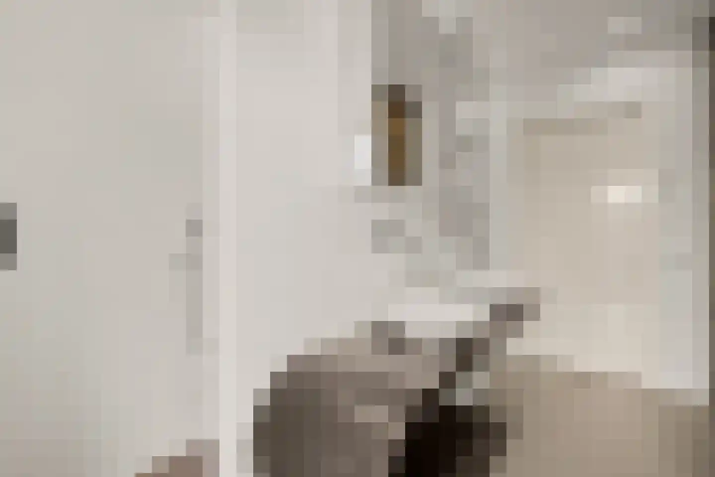 Jamaicastraat 33 Almere thumbnail 32