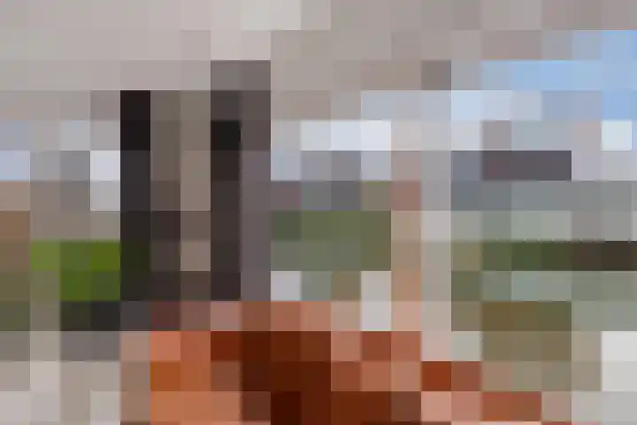Jamaicastraat 6 Almere thumbnail 12