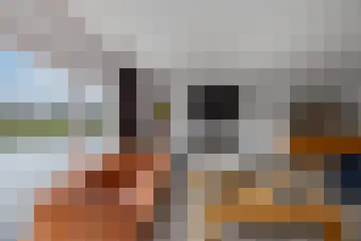 Jamaicastraat 6 Almere thumbnail 14