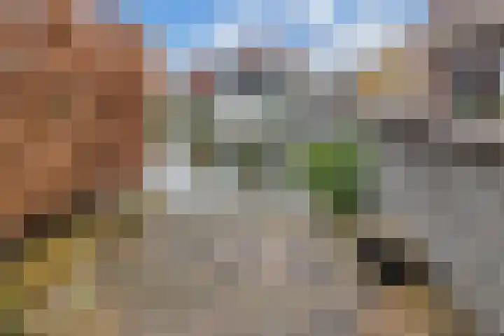 Jamaicastraat 6 Almere thumbnail 27