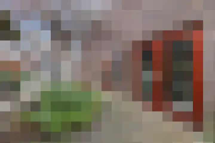 Jamaicastraat 6 Almere thumbnail 30