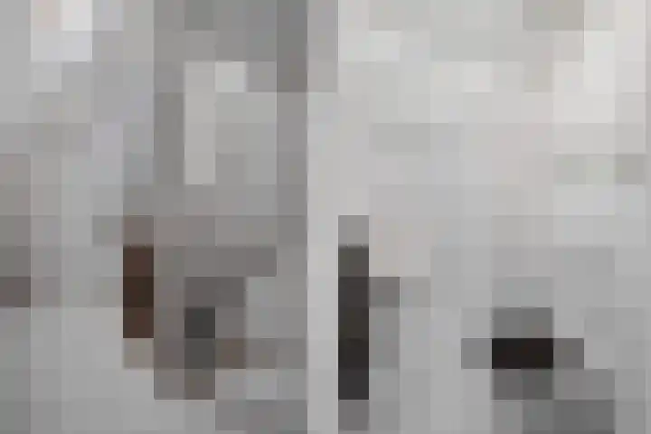 Jamaicastraat 6 Almere thumbnail 34