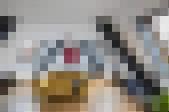 Jamaicastraat 6 Almere thumbnail 39