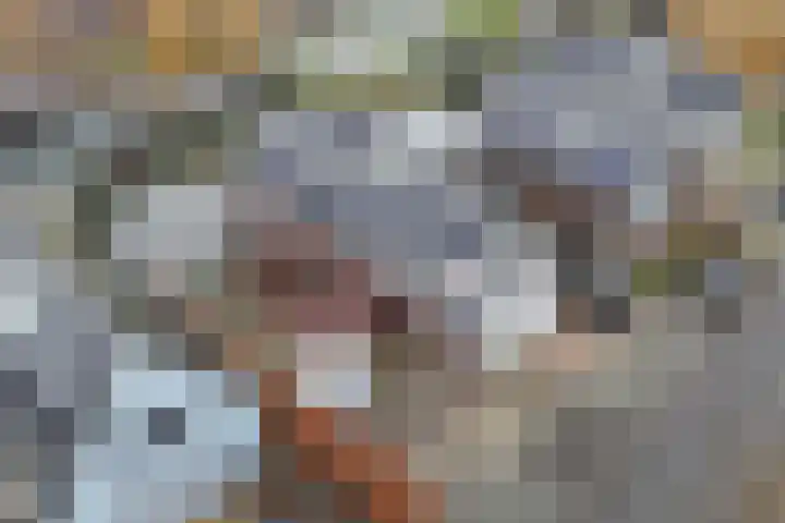 Jamaicastraat 6 Almere thumbnail 4