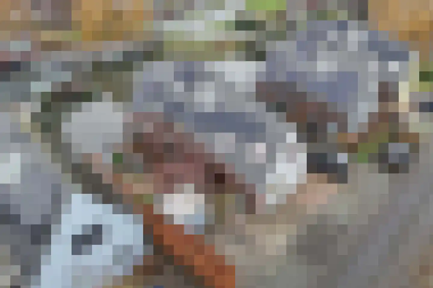 Jamaicastraat 6 Almere thumbnail 4