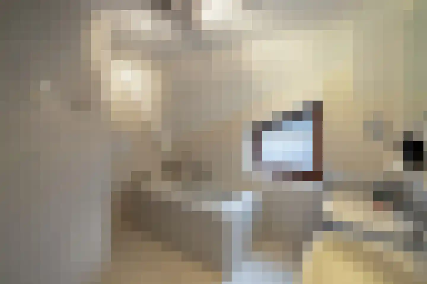 Jamaicastraat 6 Almere thumbnail 42