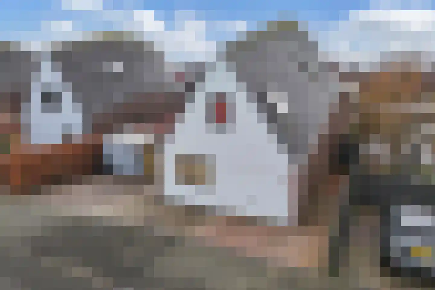 Jamaicastraat 6 Almere thumbnail 45