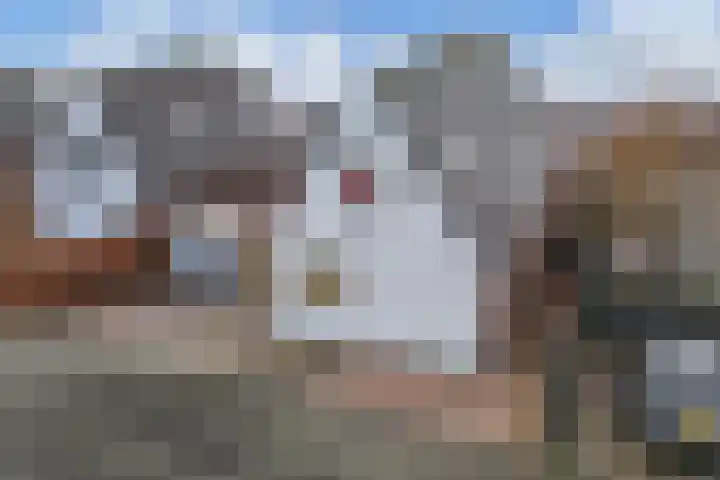 Jamaicastraat 6 Almere thumbnail 45